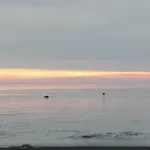 Hoovimaja Prázdninový dům