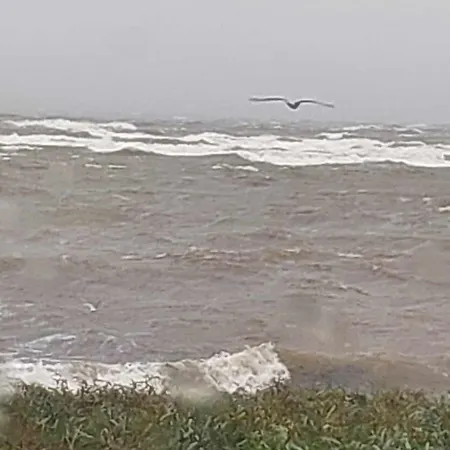 Hoovimaja
