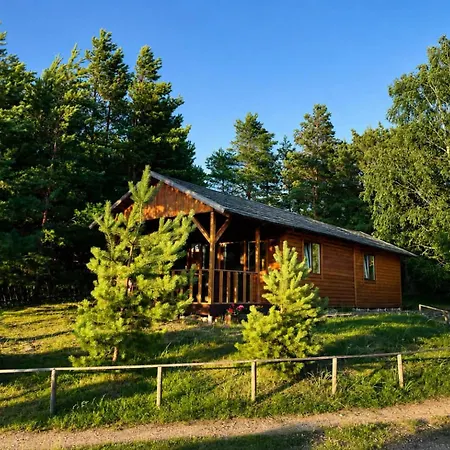 Hoovimaja Treimani