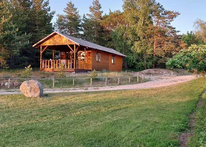 Hoovimaja * Treimani