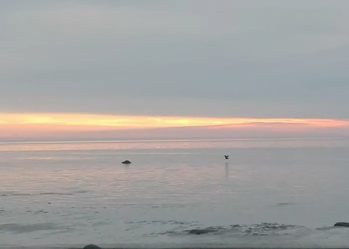 Hoovimaja Prázdninový dům